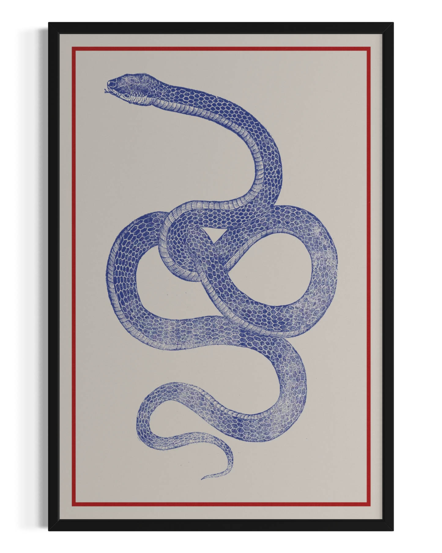 The Serpent's Knot